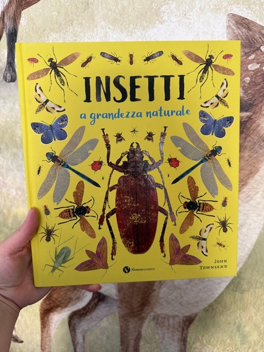Insetti a grandezza naturale, John Townsend