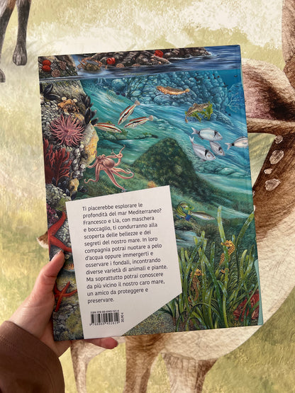 Caro Mare, Emanuele Nava, Annapaola Del Nevo, Rossella Faleni ed Erika Lippi