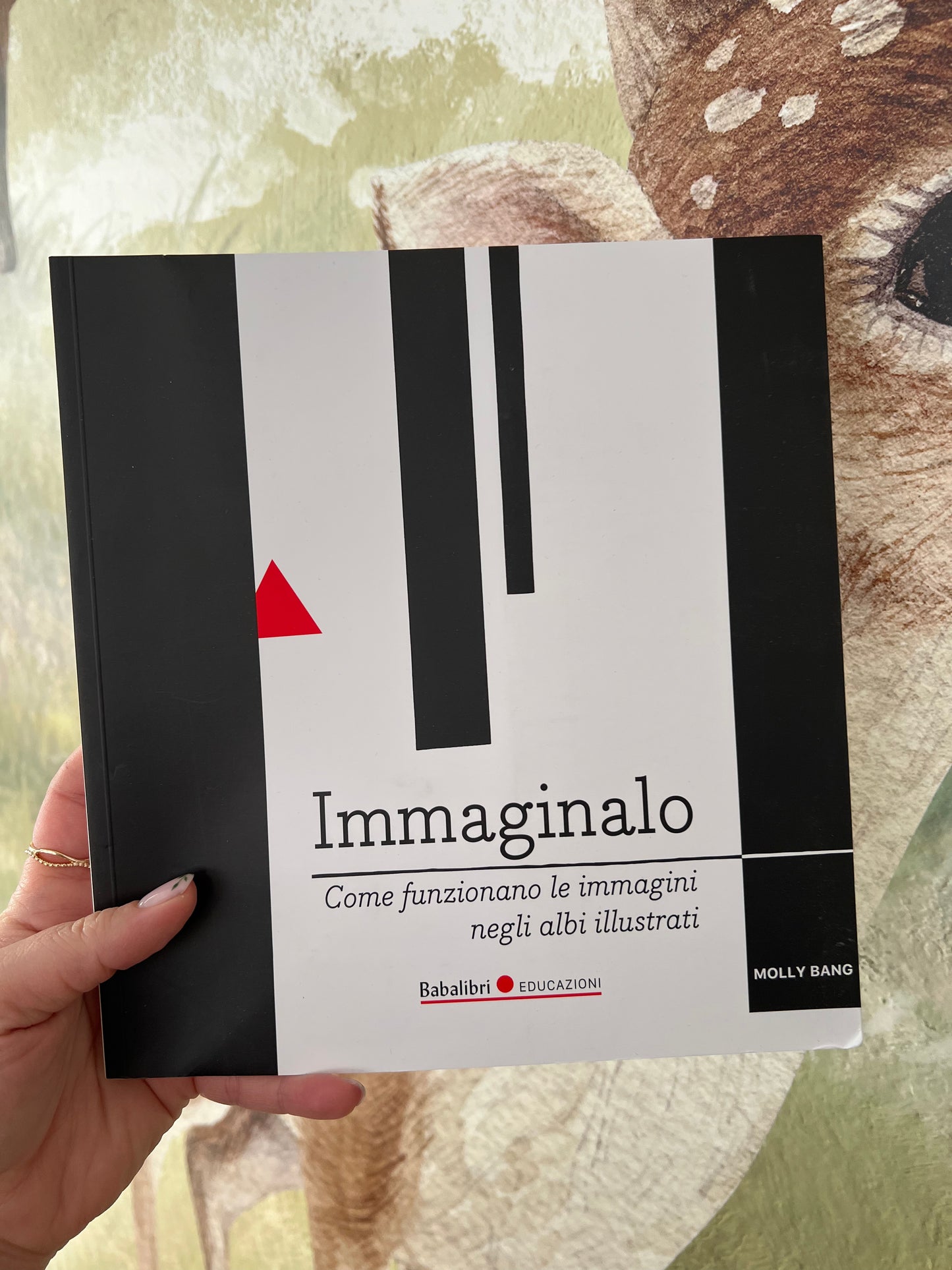 Immaginalo, Come funzionano le immagini negli albi illustrati, Molly Bang