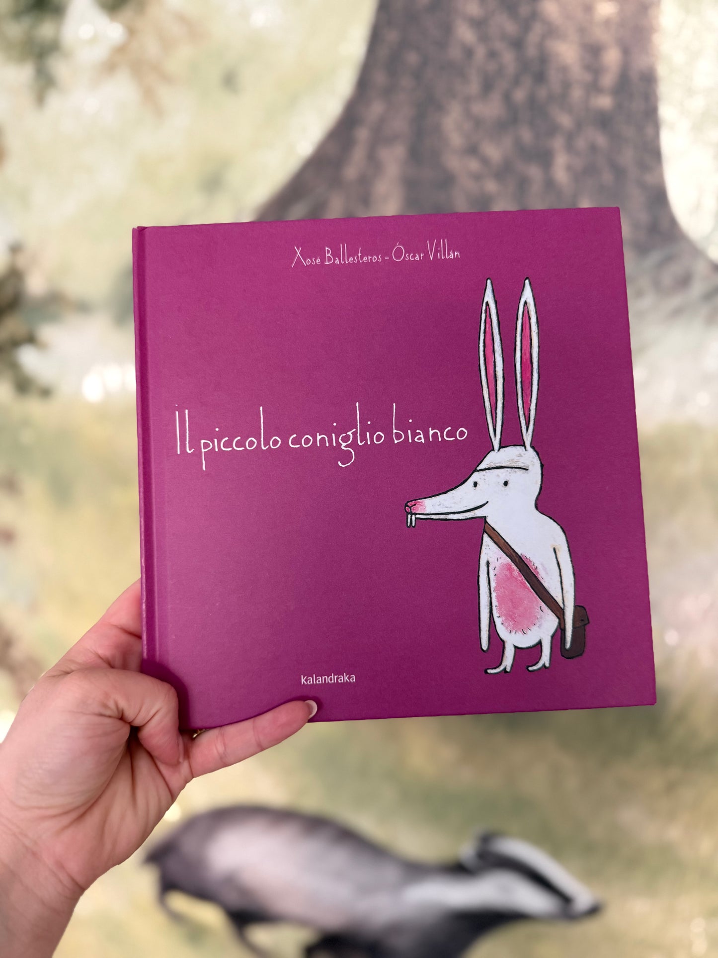 Il piccolo coniglio bianco, Xosé Ballesteros, Óscar Villán