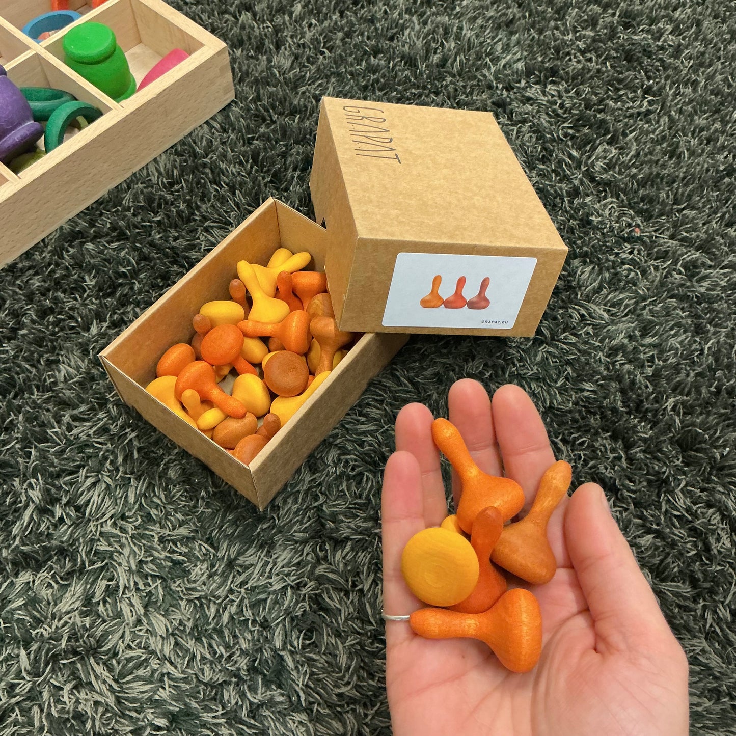 Grapat Mandala pumpkin