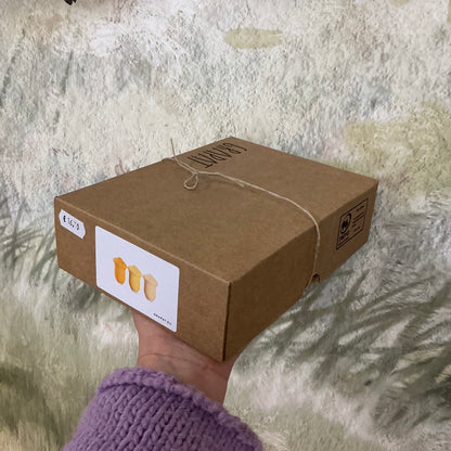 Grapat Mandala tulip