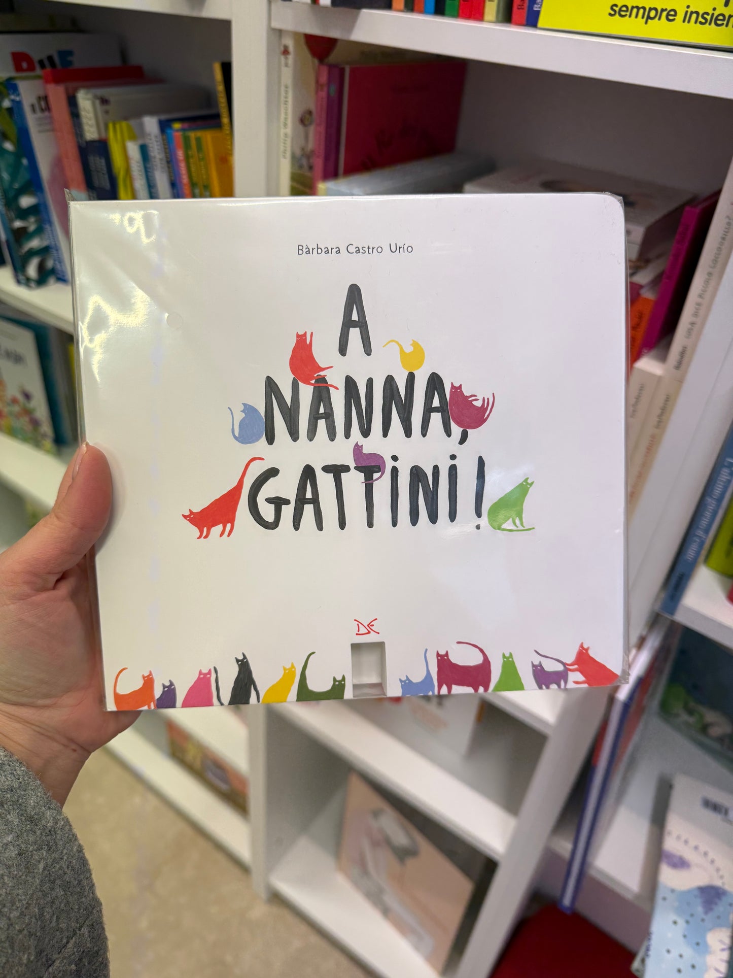 A nanna gattini, Bàrbara Castro Urío