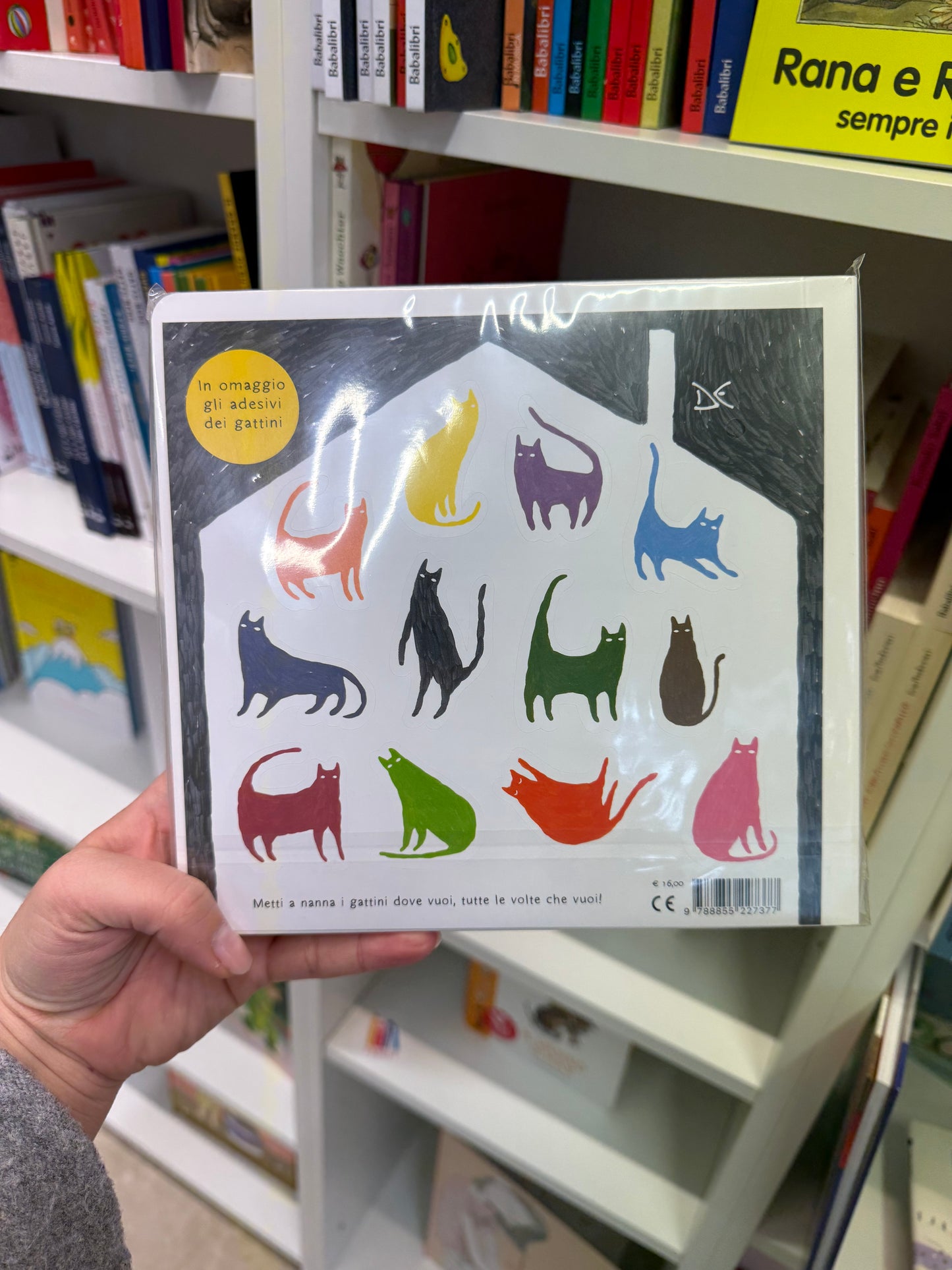 A nanna gattini, Bàrbara Castro Urío