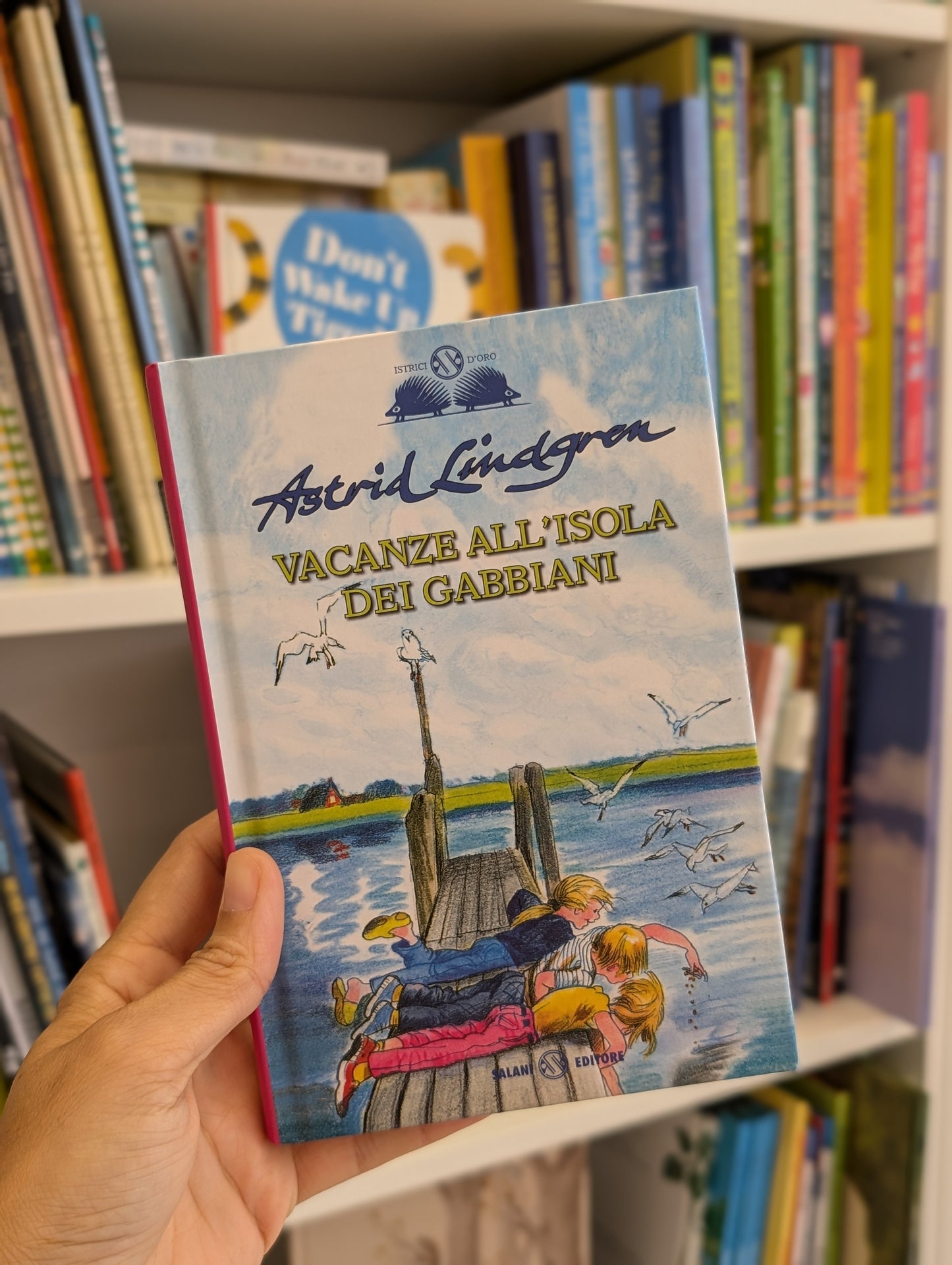 Vacanze all'isola dei gabbiani, Astrid Lindgren