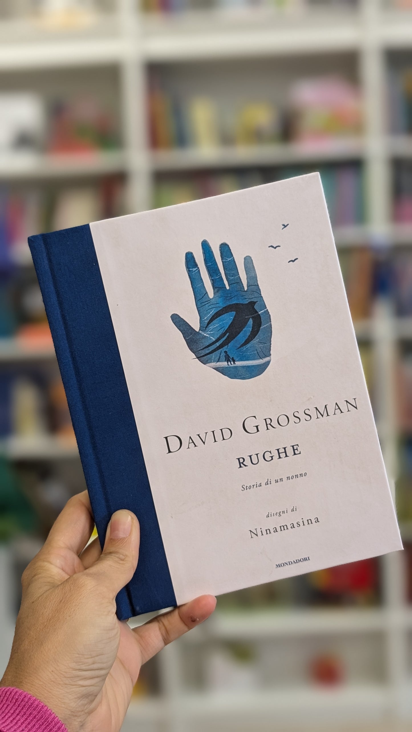 Rughe, David Grossman