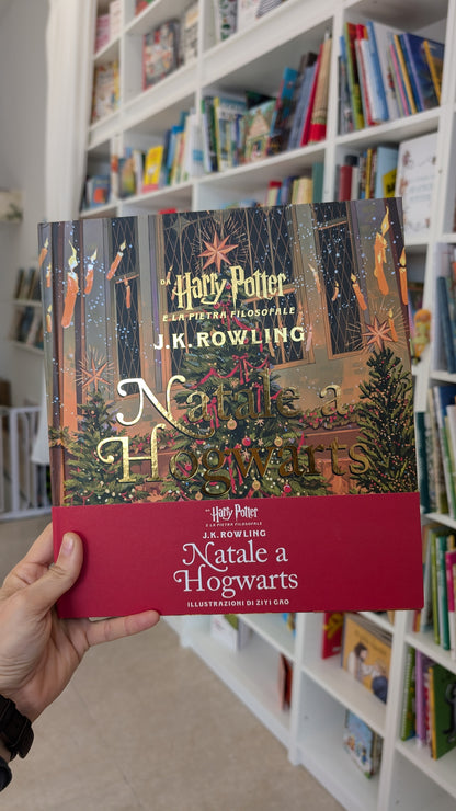 Natale a Hogwarts, J. K. Rowling e Ziyi Gao