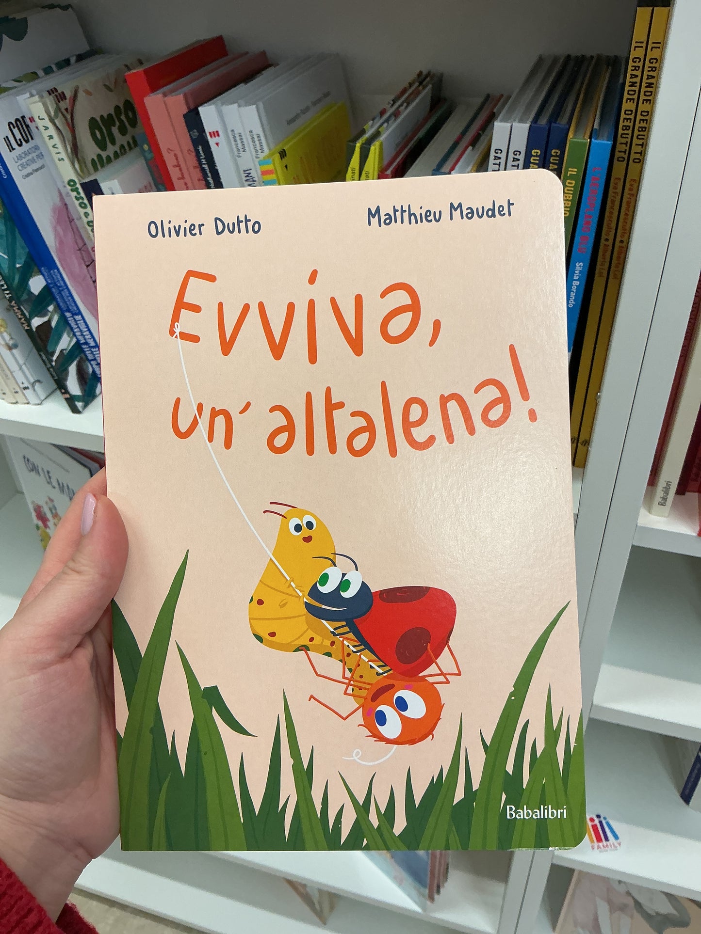 Evviva, un’altalena! , Matthieu Maudet