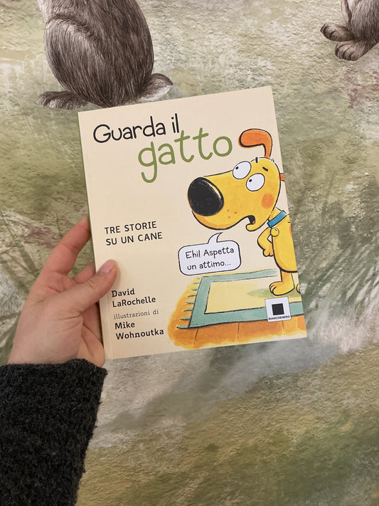 Guarda il gatto, David LaRochelle