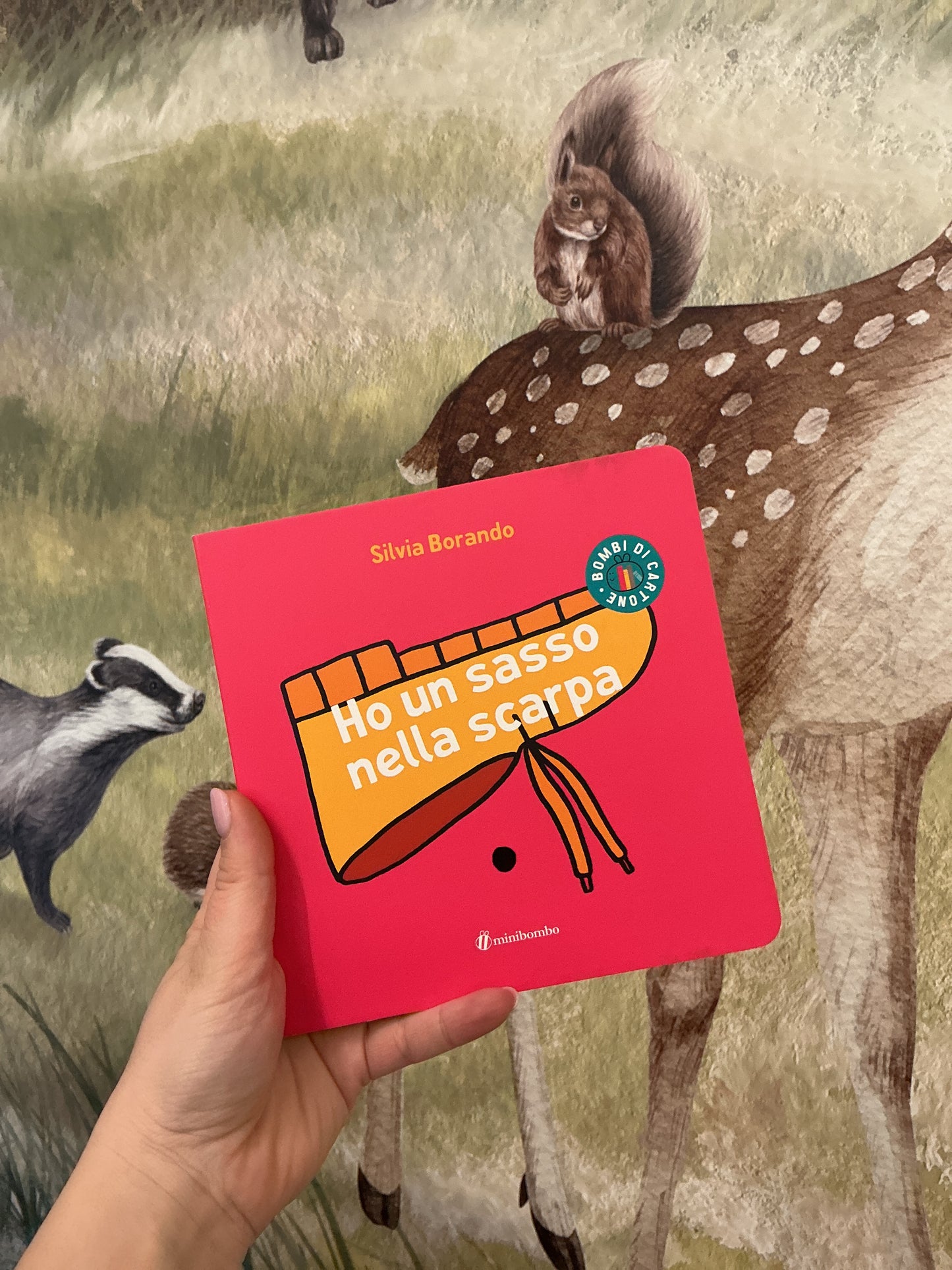 Ho un sasso nella scarpa, Silvia Borando