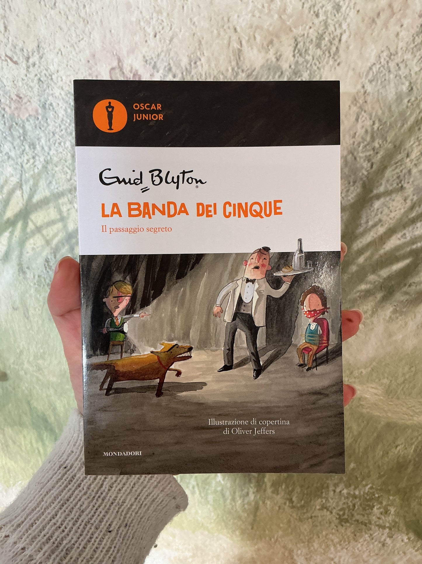 La Banda dei cinque, Il passaggio segreto, Enid Blyton