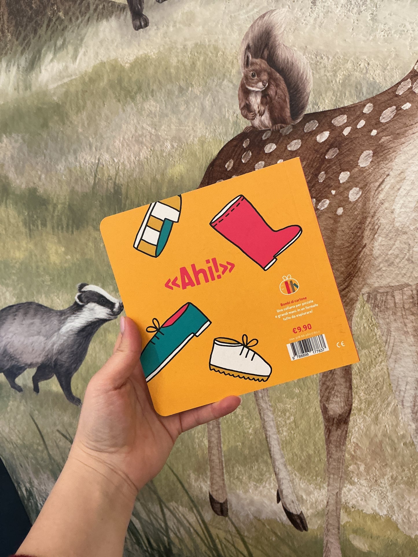 Ho un sasso nella scarpa, Silvia Borando